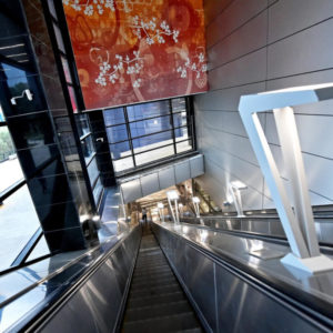 На станции метро «Мичуринский проспект» установили самый длинный эскалатор на БКЛ