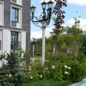 В ландшафтном парке жилого комплекса «Невский» высажено 1500 растений    